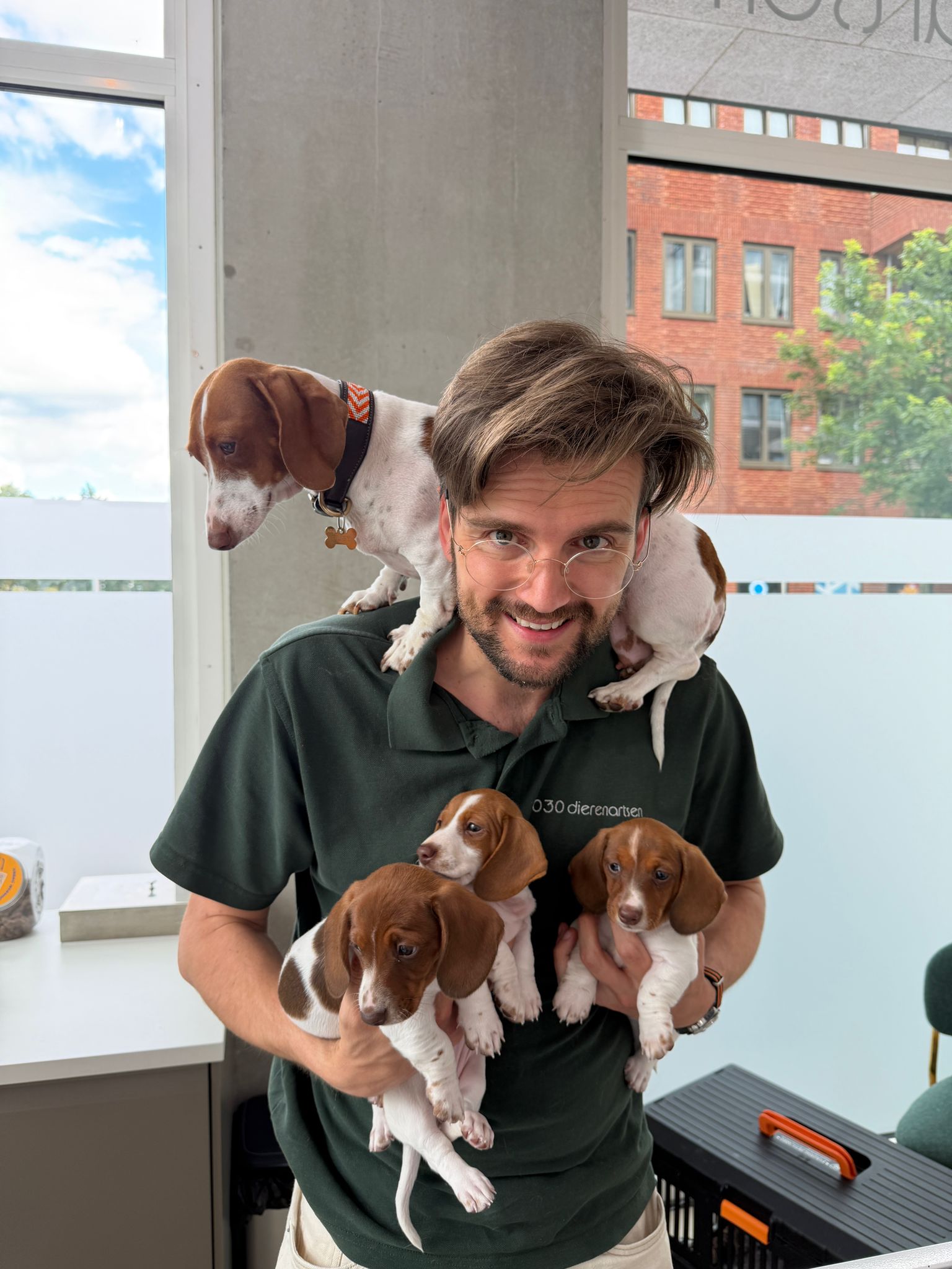 Dierenarts met puppy’s in de praktijk